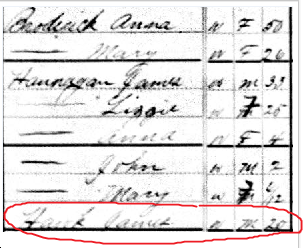 1880 census james ja hawk anna duggan broderick hannigans